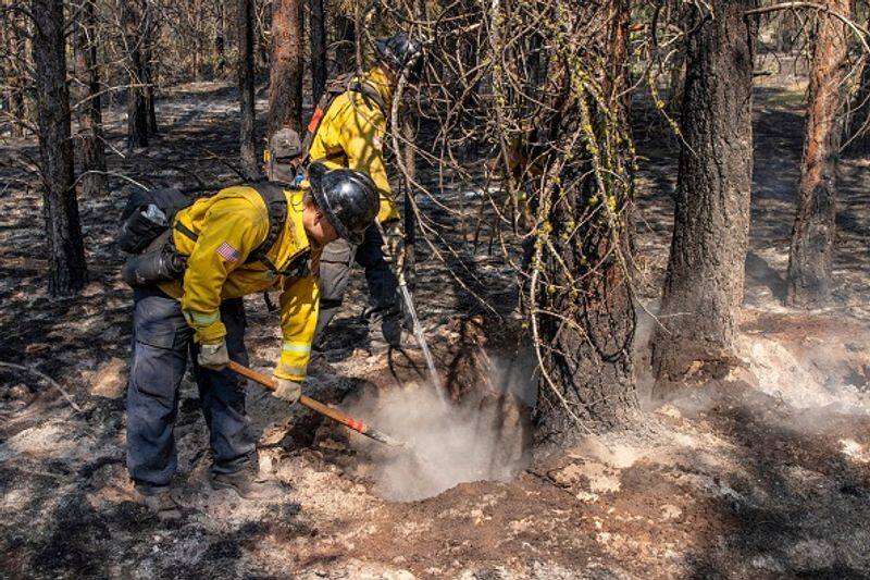 Oregon Bootleg Fire fire burns 300,000 acres in  US