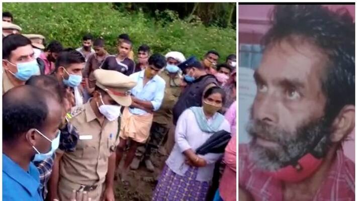 Farmer killed in tiger attack in Mudumalai Farmer killed in tiger attack in Mudumalai