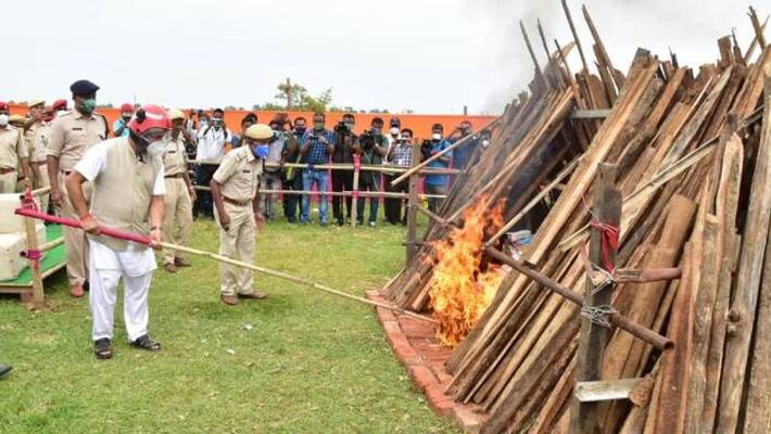 Assam CM burns huge amount of drugs Assam CM burns huge amount of drugs