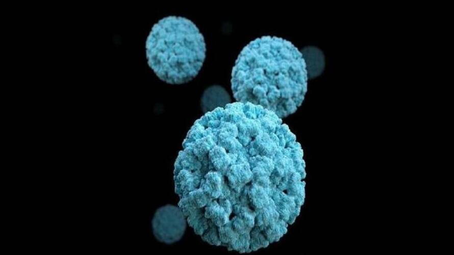 Noro virus signs and how to prevent Noro virus signs and how to prevent