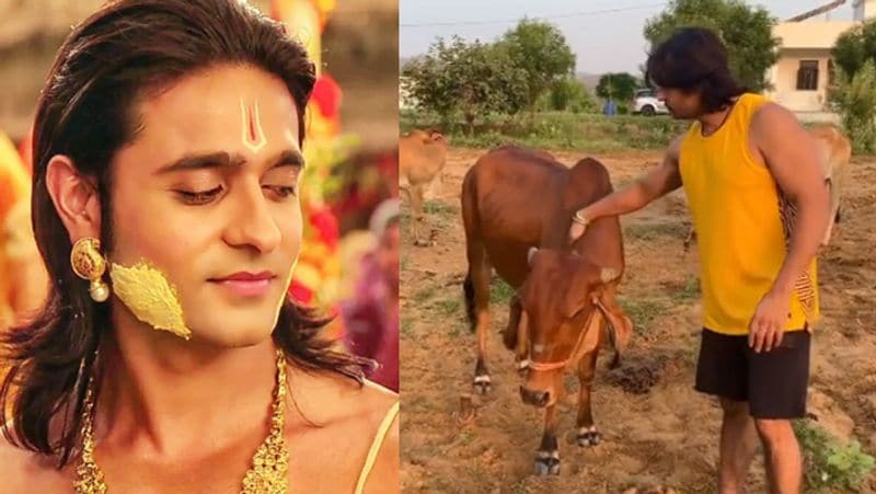 बता दें कि घर-घर में लोग आशीष शर्मा को सीरियल सिया के राम के राम के रूप में पहचानते हैं। अब वे किसान बन गए हैं। उनका मन खेती की तरफ बढ़ गया है और अब वे मुंबई से दूर राजस्थान में खेती कर रहे हैं। 