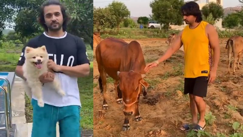 आशीष ने इंटरव्यू के दौरान कहा- मुझे लगता है कि छोटी-छोटी बातें जिंदगी को बहुत खूबसूरत बना देती है। मैंने अपनी जड़ों में वापस लौटने का फैसला किया और अब मैं किसान बन गया हूं।