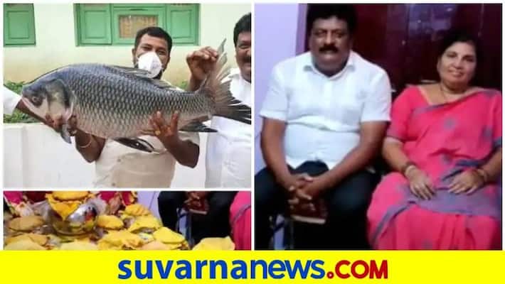 Andhra dad gifts newlywed daughter 1000kg fish 250kg sweets 10 goats pod Andhra dad gifts newlywed daughter 1000kg fish 250kg sweets 10 goats pod
