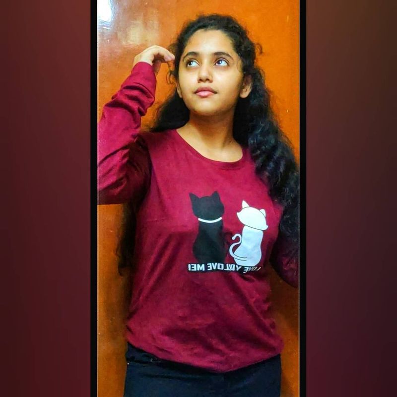 చక్కని నటనతో ఆకట్టుకునే అన్నికి టాలీవుడ్ లో వరుస ఆఫర్స్ వచ్చాయి. స్వాగతం,రెడీ, శౌర్యం, మిత్రుడు, ఏక్ నిరంజన్, కేడి వంటి చిత్రాలలో నటించింది. అలాగే ఓ భోజ్ పురి మూవీలో కూడా ఆమె నటించారు.