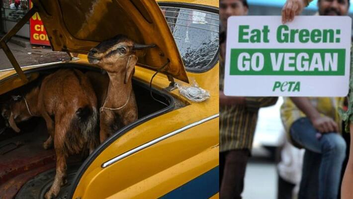 33 year-old Muslim man in Kolkata began a 72 hour long fast on Tuesday night to protest against animal sacrifice 33 year-old Muslim man in Kolkata began a 72 hour long fast on Tuesday night to protest against animal sacrifice