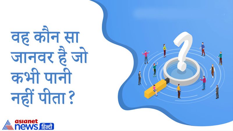 सवाल- वह कौन सा जानवर है जो कभी पानी नहीं पीता?
जवाब- चूहा, कंगारू