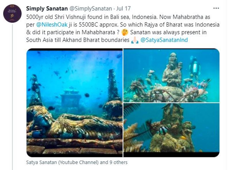 वीडियो के मुताबिक, टर्ली ने ही वीडियो को शूट किया। ये बाली में एक पर्यटन एजेंसी सी रोवर्स डाइव सेंटर के मालिक हैं।