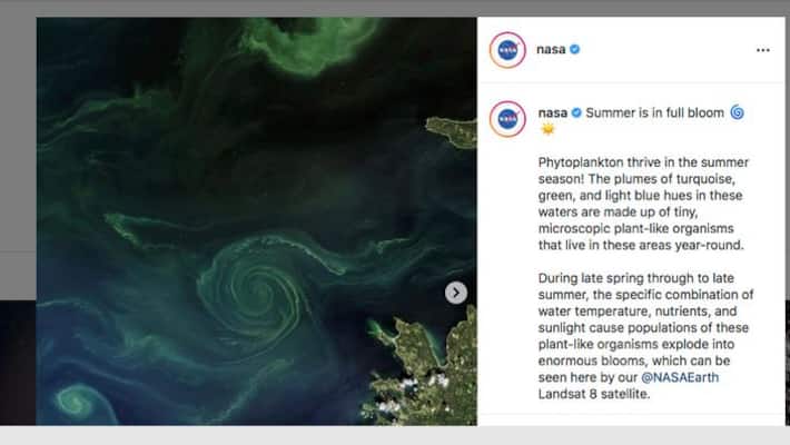 Nasa Instagram phytoplankton Baltic sea gcw Nasa Instagram phytoplankton Baltic sea gcw