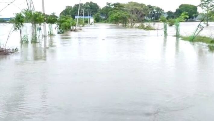 Transport facility for Bhadrachalam From Odisha, Chhattisgarh, And Andhra pradesh disrupted Transport facility for Bhadrachalam From Odisha, Chhattisgarh, And Andhra pradesh disrupted