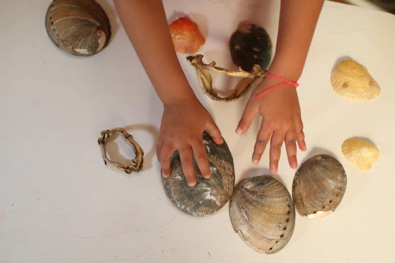 Nina a four year old girl try to remove marine plastic waste