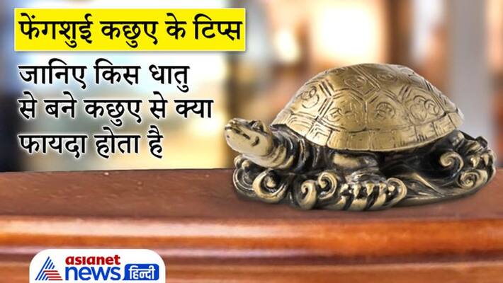 Know which metal feng shui tortoise gives what benefit KPI Know which metal feng shui tortoise gives what benefit KPI