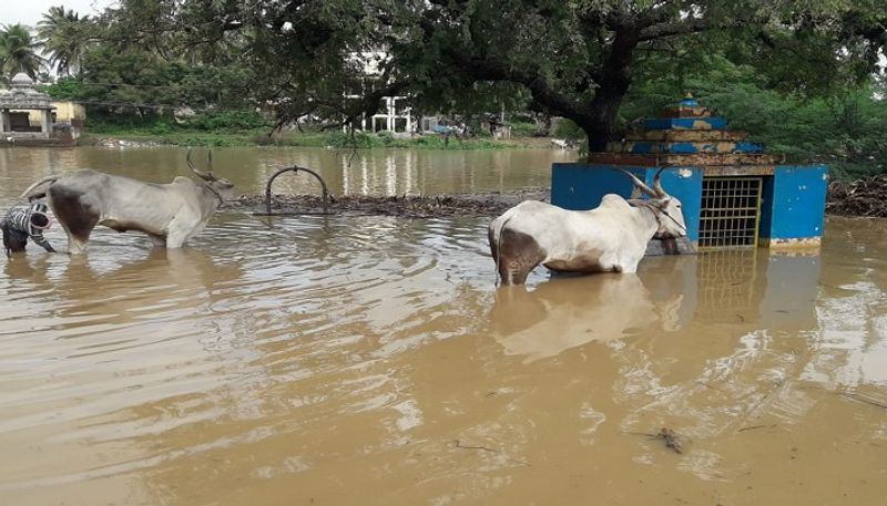 People of Karnataka Faces Problems due to Heavy Rain grg