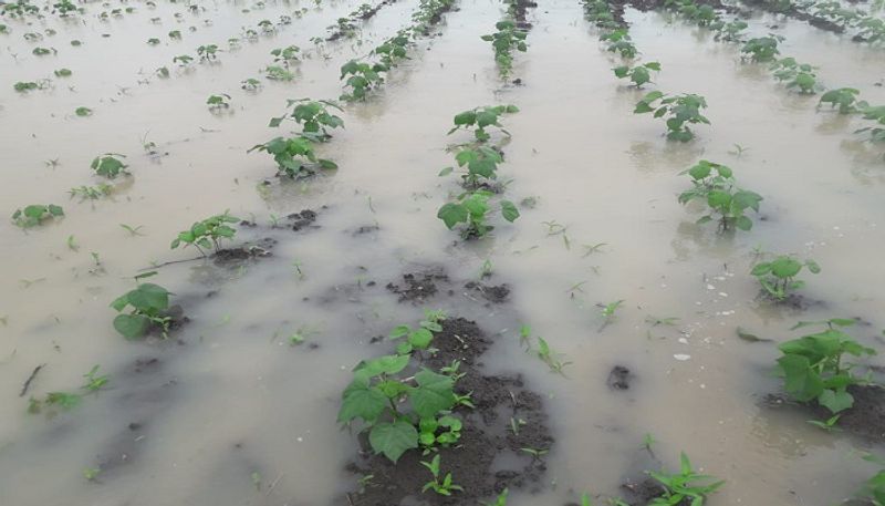 People of Karnataka Faces Problems due to Heavy Rain grg