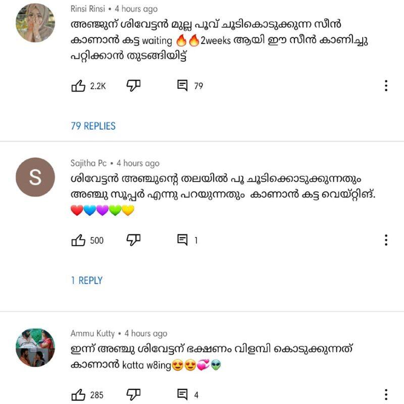 santhwanam fangirl comment got viral  malayalam popular serial episode review