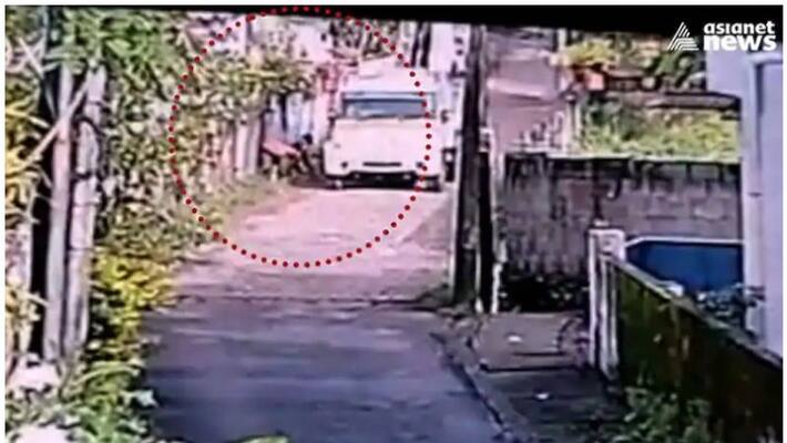 dog killing in kakkanad more evidence against thrikkakara municipality dog killing in kakkanad more evidence against thrikkakara municipality