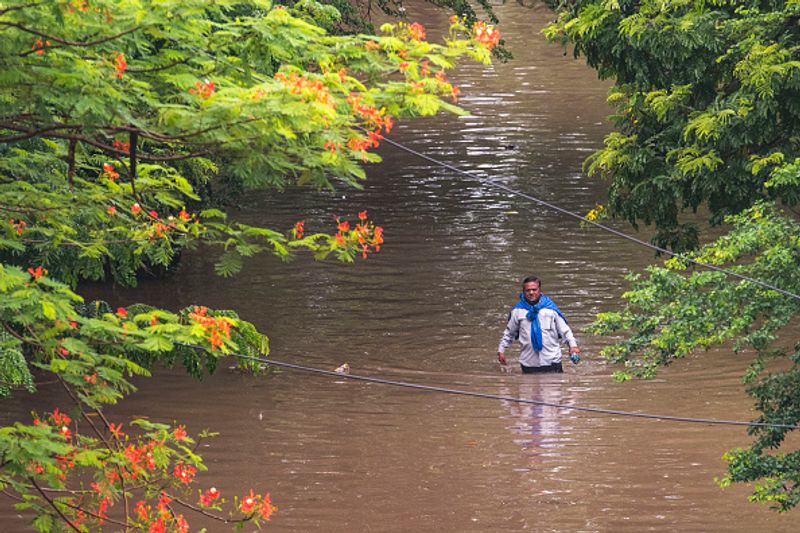 Rain fall over the districts of North Bengal and Kolkata on 1 August RTB