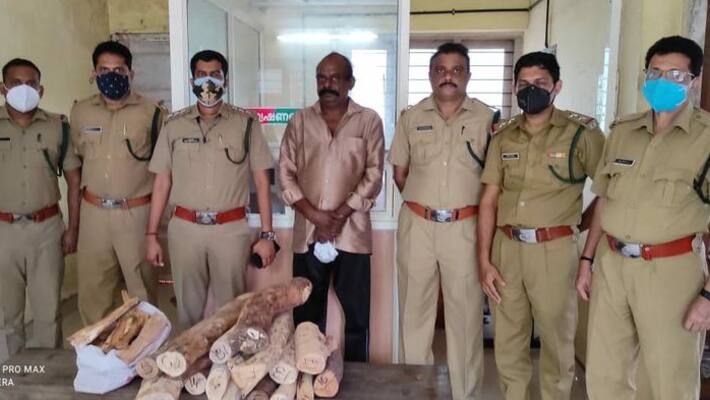Police seized 45 kg of sandalwood from a house in Attingal Police seized 45 kg of sandalwood from a house in Attingal