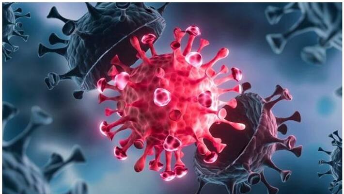 Corona Delta variant more dangerous than Ebola chickenpox US Centers for Disease Control and Prevention study ckm Corona Delta variant more dangerous than Ebola chickenpox US Centers for Disease Control and Prevention study ckm