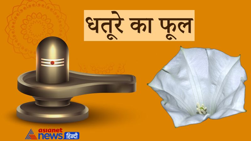 Sawan begins from 25th July, offering these things to Shivji may solve your problems KPI