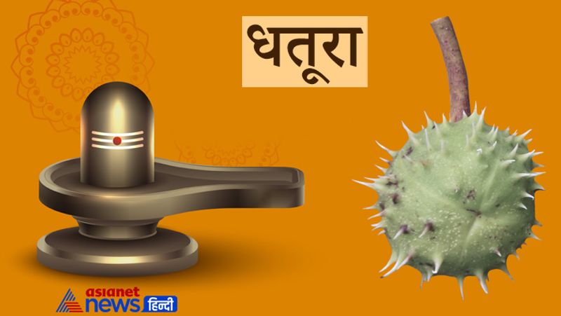 Sawan begins from 25th July, offering these things to Shivji may solve your problems KPI