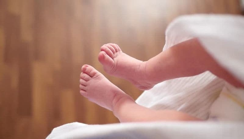 Foods that can help in your IVF treatment