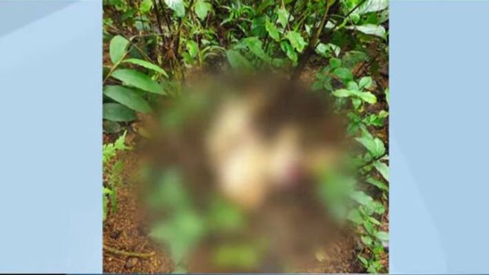 unidentified dead body remains found at wayanad panamaram unidentified dead body remains found at wayanad panamaram