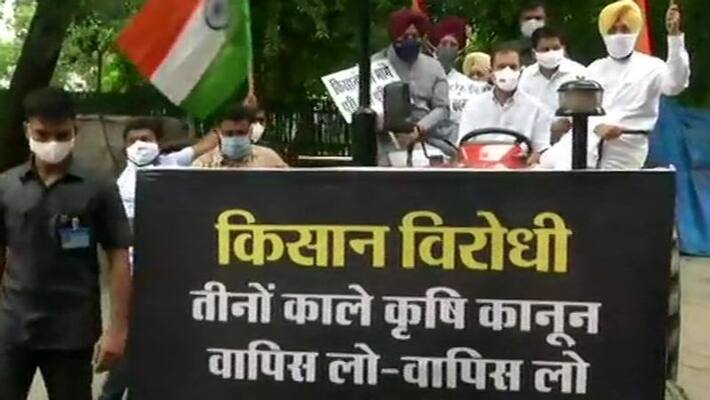 Rahul Gandhi Rides Tractor In Heart Of Delhi To Protest Farm Laws - bsb Rahul Gandhi Rides Tractor In Heart Of Delhi To Protest Farm Laws - bsb