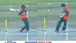 Viral video of Zimbabwe vs Bangladesh cricket match claiming ghost stumped wicket KPZ