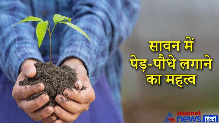 Sawan doing plantation and charity in this month please god and deceased ancestors KPI Sawan doing plantation and charity in this month please god and deceased ancestors KPI