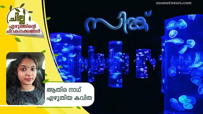 chilla malayalam poem by Athira Nath chilla malayalam poem by Athira Nath