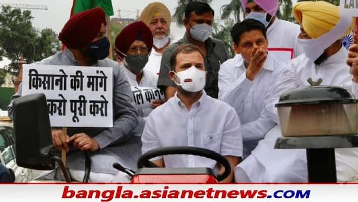 farmer protest Rahul Gandhi drives a tractor to parliament bsm farmer protest Rahul Gandhi drives a tractor to parliament bsm