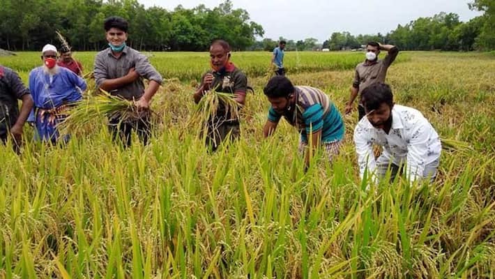 farmers of Murshidabad is in trouble with thermal power plant bmm farmers of Murshidabad is in trouble with thermal power plant bmm