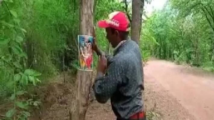 he pastes photos of Lord Shiva on trees to prevent tree cutting he pastes photos of Lord Shiva on trees to prevent tree cutting