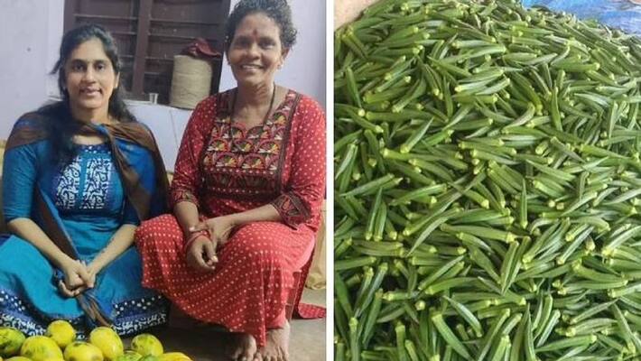 this lady left Canada and started organic farming in her village this lady left Canada and started organic farming in her village