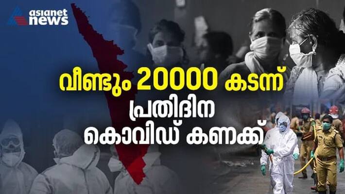 covid new positive cases and death number in kerala covid new positive cases and death number in kerala