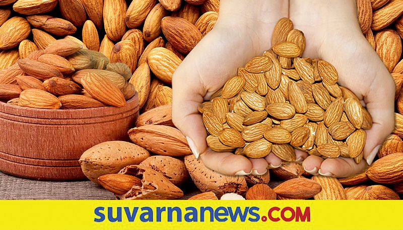 5 Nuts To Burn Belly Fat And Lose Weight