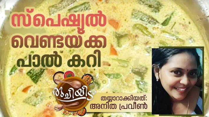 how to make vendakka paal curry how to make vendakka paal curry