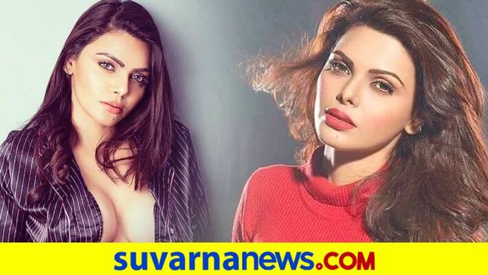 Raj Kundra told me Shilpa Shetty liked my work, says Sherlyn Chopra dpl Raj Kundra told me Shilpa Shetty liked my work, says Sherlyn Chopra dpl