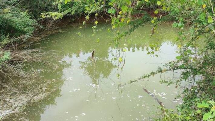Car falls into well in Karimngar district lns Car falls into well in Karimngar district lns