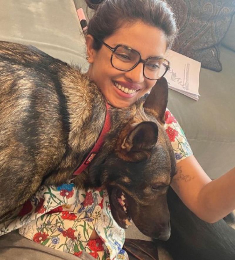 Pics From Priyanka Chopras London Summer Photo Dump Are All Things Wow dpl