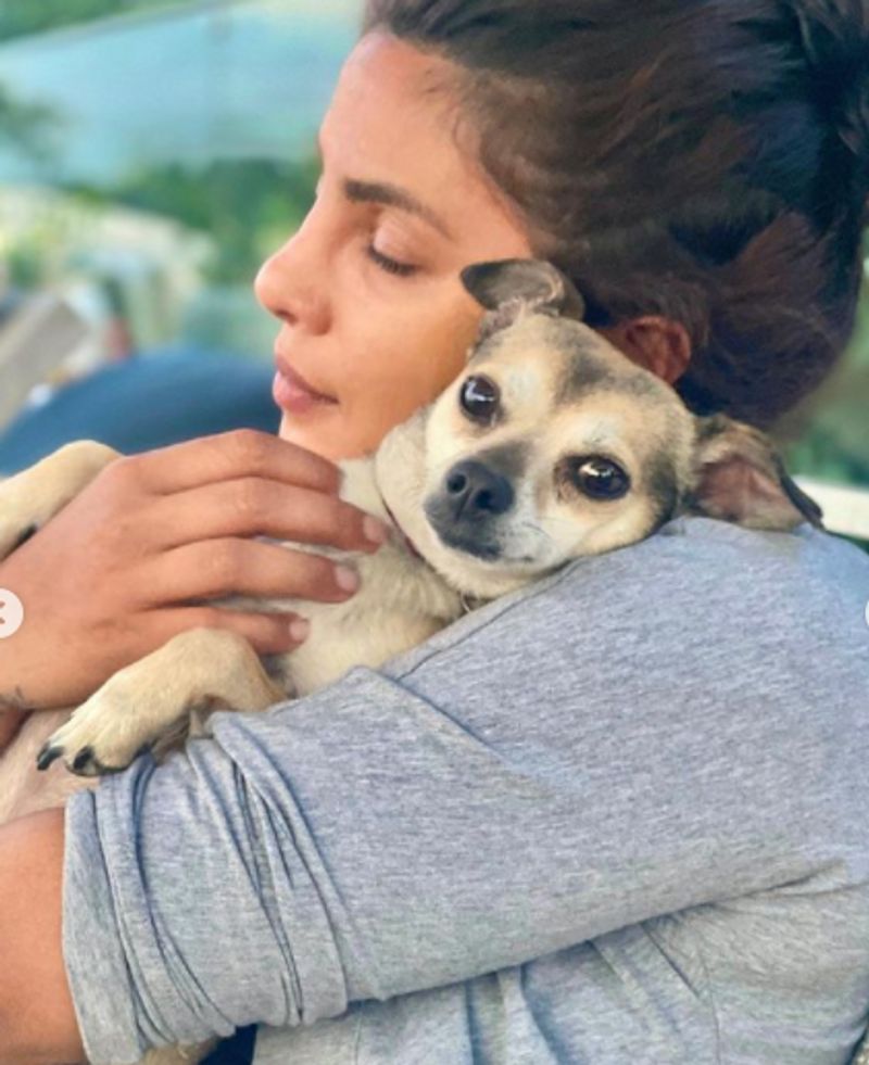 Pics From Priyanka Chopras London Summer Photo Dump Are All Things Wow dpl