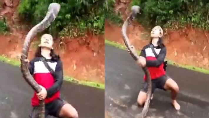 Woman catches giant snake with bare hands Woman catches giant snake with bare hands