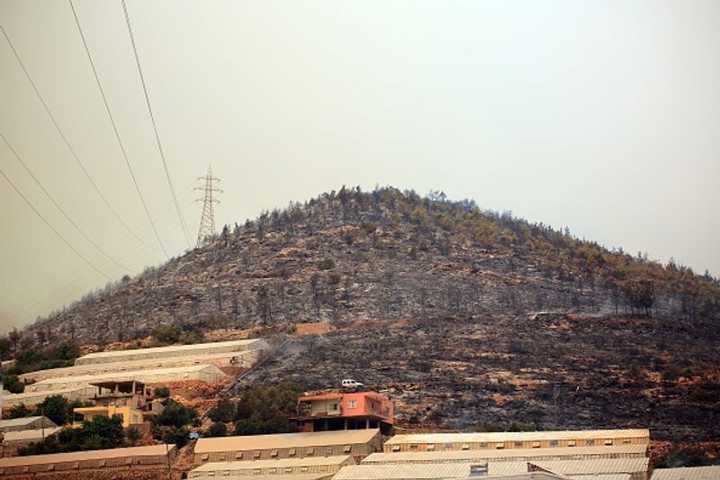 Three dead Wildfires in Turkey 1500 acres of farmland destroyed by fire