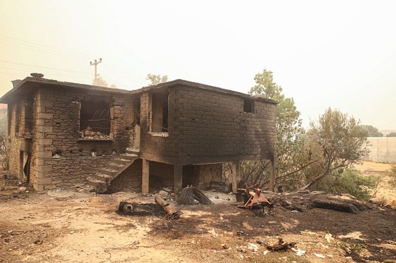 Three dead Wildfires in Turkey 1500 acres of farmland destroyed by fire