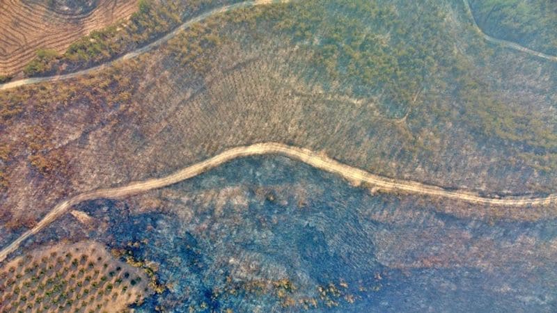 Three dead Wildfires in Turkey 1500 acres of farmland destroyed by fire