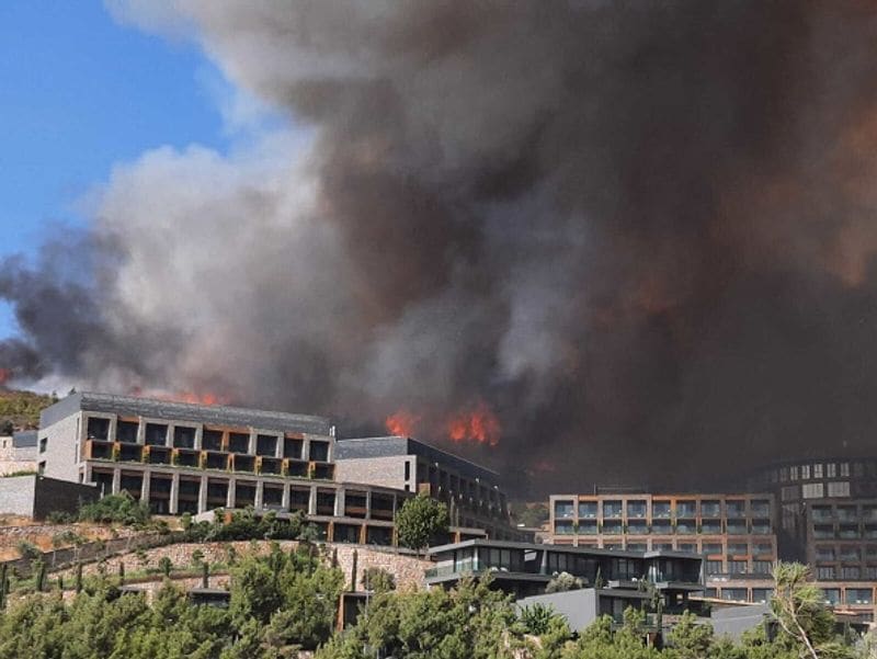 Three dead Wildfires in Turkey 1500 acres of farmland destroyed by fire