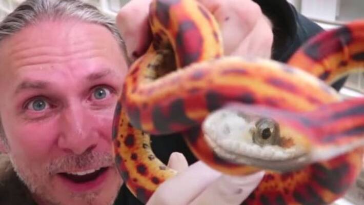 Brian Barczyk life with snakes Brian Barczyk life with snakes