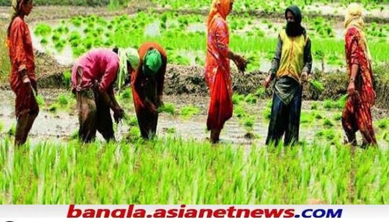 Rain fall over the districts of North Bengal and Kolkata on 1 August RTB