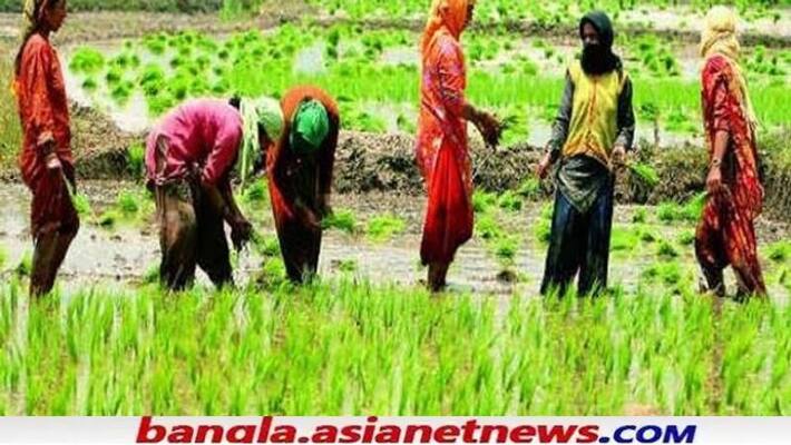 Nabanna Has taken a big decision for the farmers of Bengal bpsb Nabanna Has taken a big decision for the farmers of Bengal bpsb