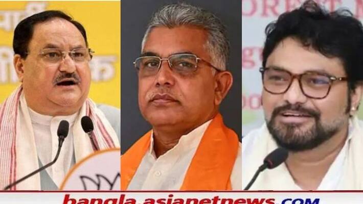 Union Minister Babul Supriyo attacks to BJP Leader Dilip Ghosh RTB Union Minister Babul Supriyo attacks to BJP Leader Dilip Ghosh RTB